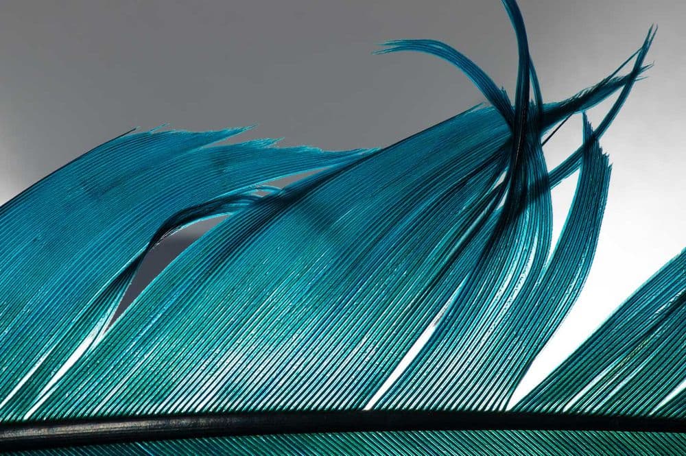 Hollow monofilament 1.jpg